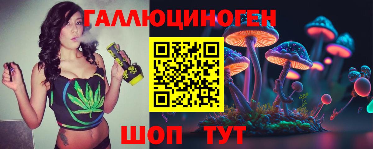 Карачаевск  Галлюциногенные грибы прущие грибы  Вход с VPN 