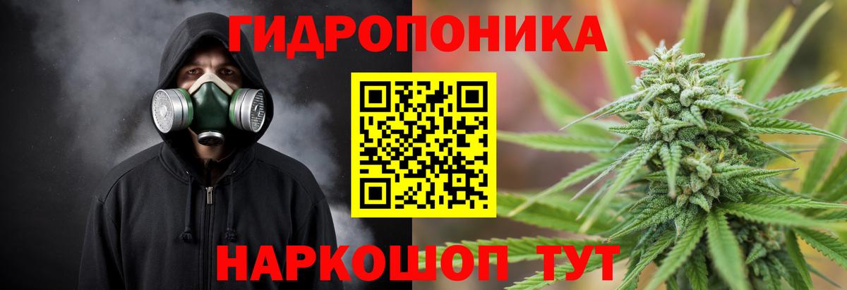 Бошки марихуана THC 21% Карачаевск